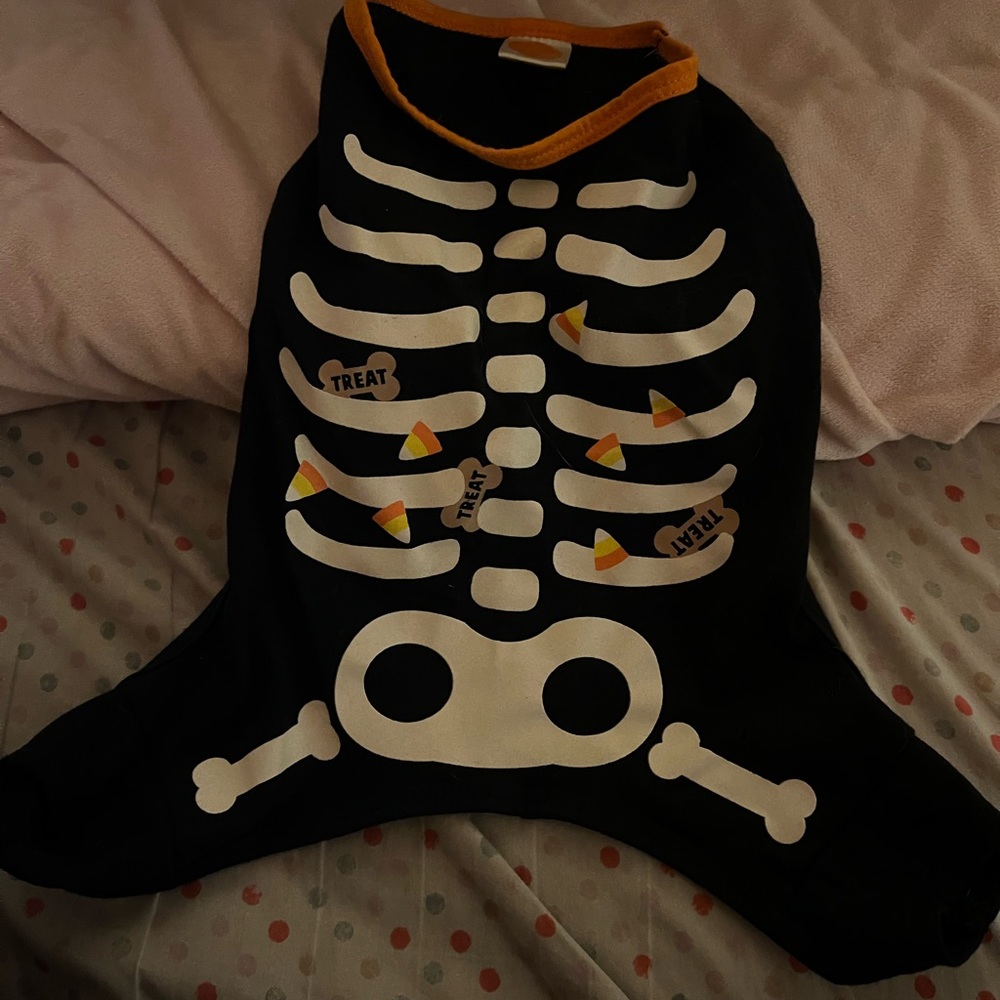 Dog's Halloween costume